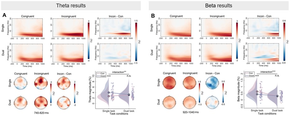 1746604010953687.jpg 1746604010953687.jpg